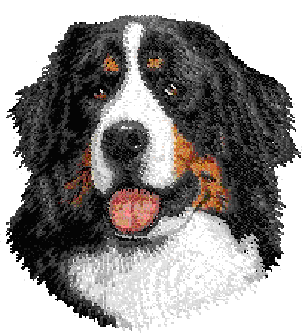 uvod.gif